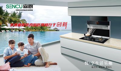 灶集成的好还是分体的好_集成灶和分体灶哪个好_集成灶和分体灶哪种更安全