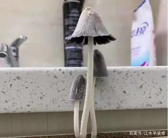 橱柜材质好用什么材料_橱柜用什么材质好_橱柜材质用哪个更好