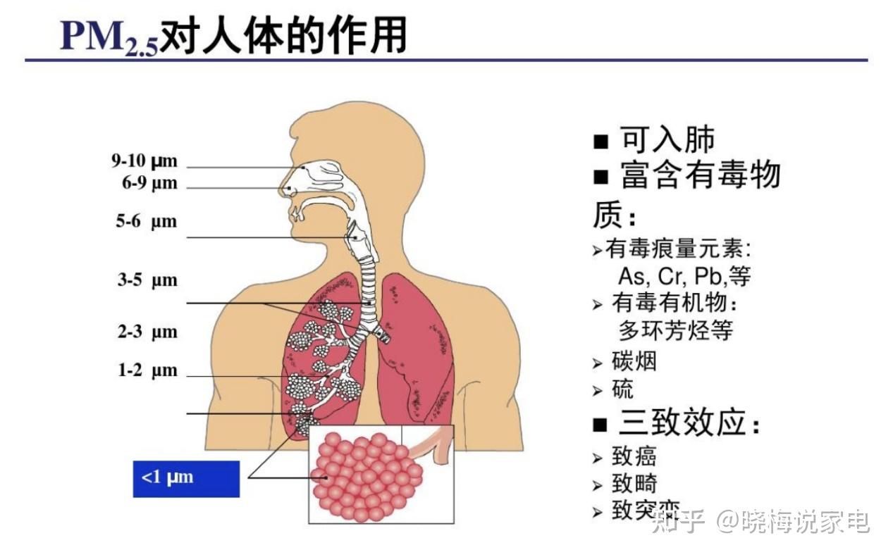 怎么选油烟机_油烟机怎么选_根据楼层怎么选油烟机