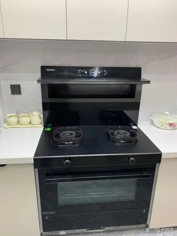 集成灶具品牌_十大品牌集成灶厂家_集成灶十大品牌排名