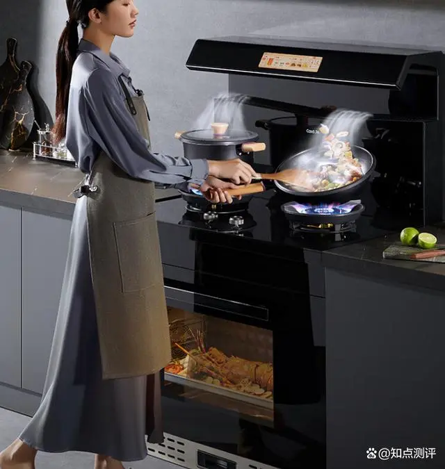 集成灶十大品牌排名_集成灶具品牌_十大品牌集成灶厂家