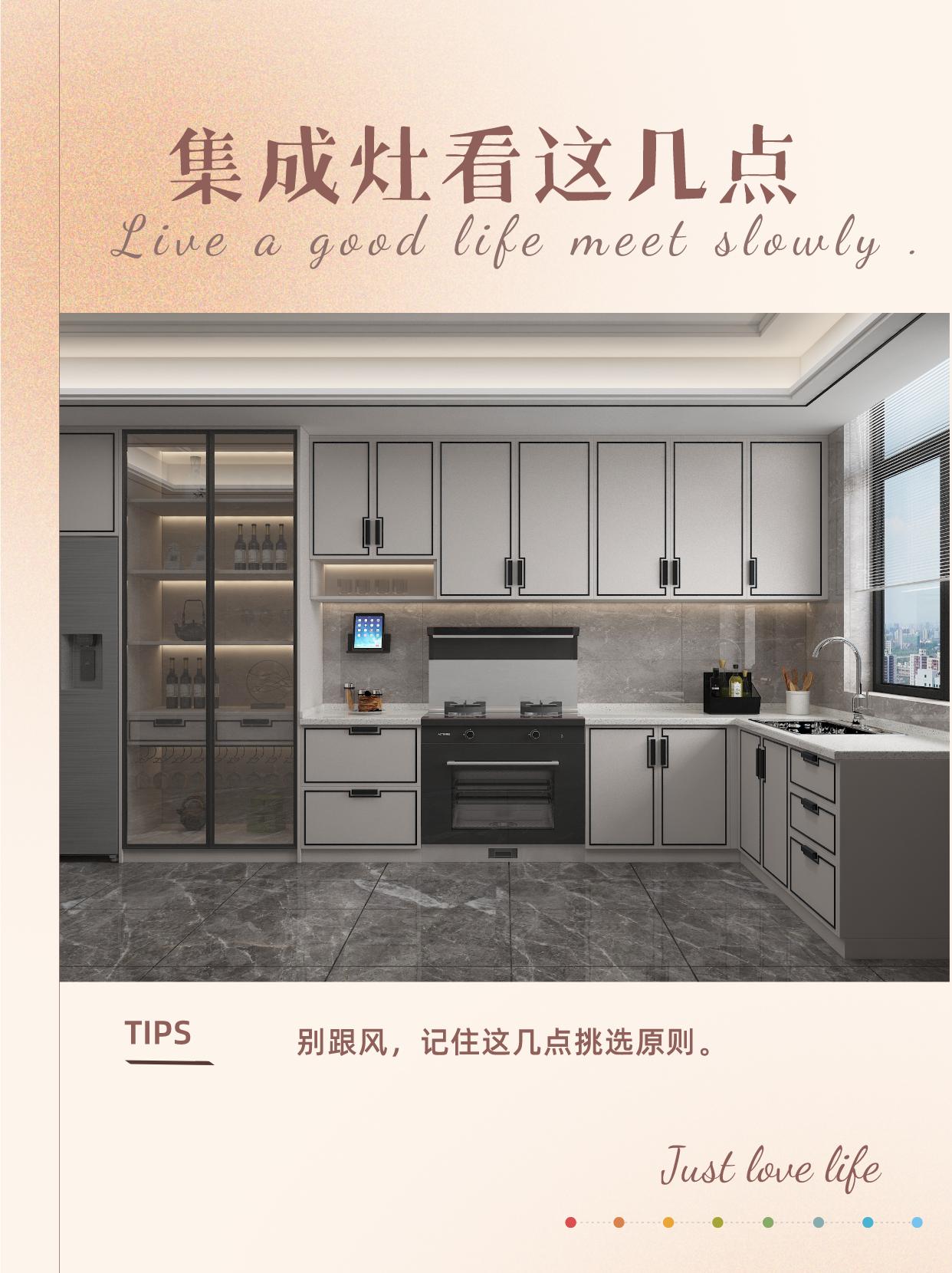 灶集成是指哪些_集成灶是什么_集成灶集成什么