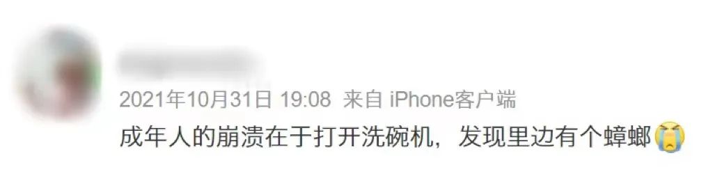 视频洗碗机使用方法_洗碗机怎么使用视频_洗碗机怎样使用给个视频