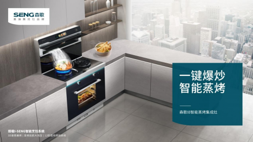 集成灶那个好点_集成灶好的牌子_集成灶哪个牌子最好